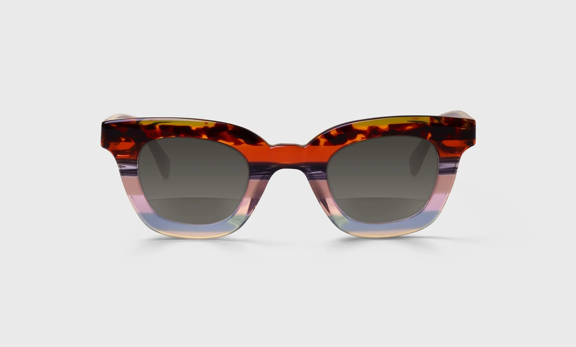 Anomaly Sunglasses (Sale)