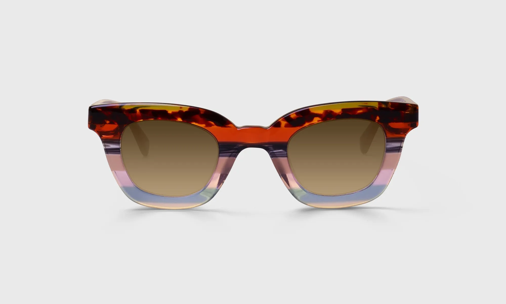 Anomaly Sunglasses (Sale)