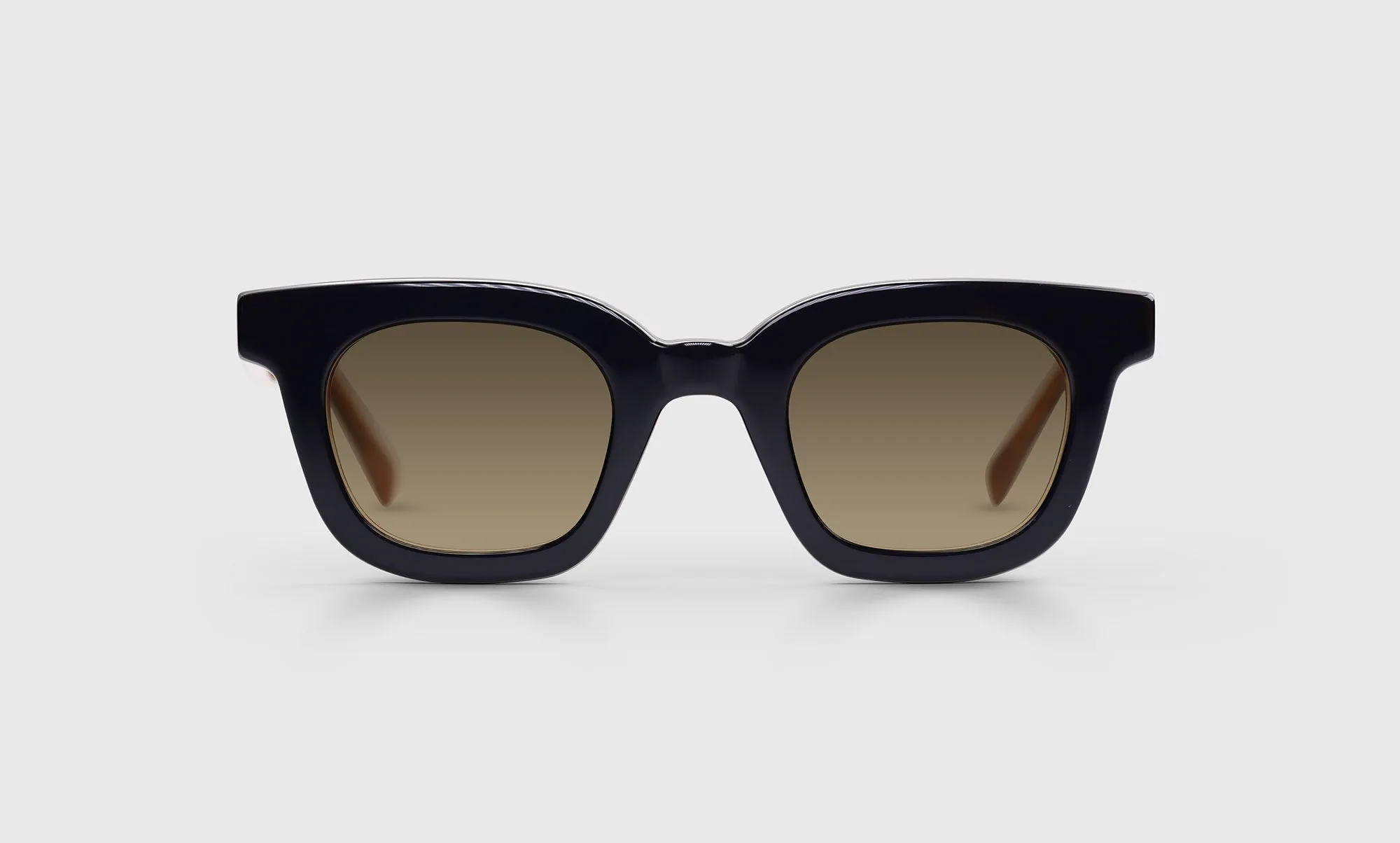 Anomaly Sunglasses (Sale)