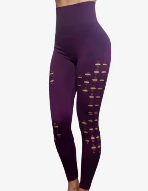 BIA Seamless Legging High Waist – Purper