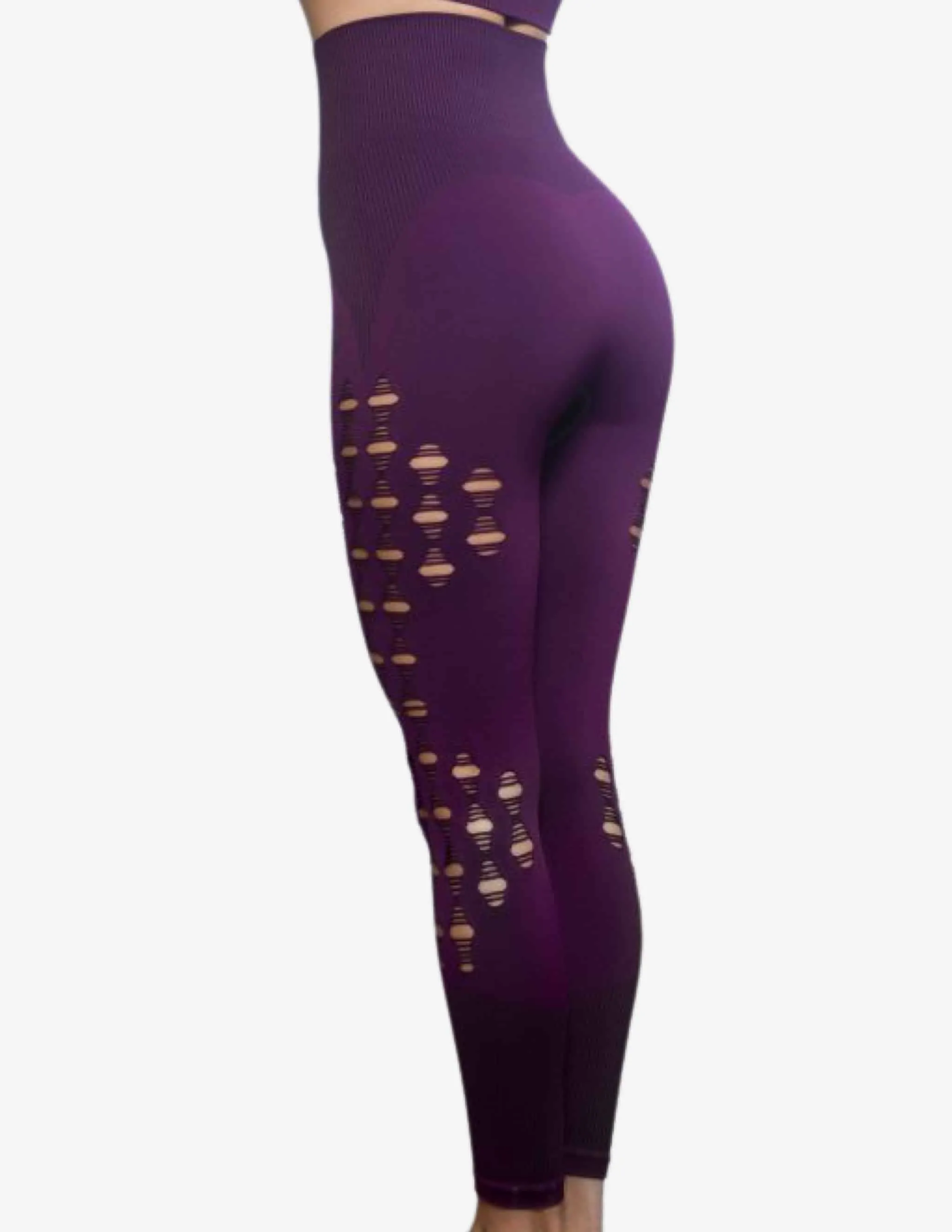 BIA Seamless Legging High Waist – Purper