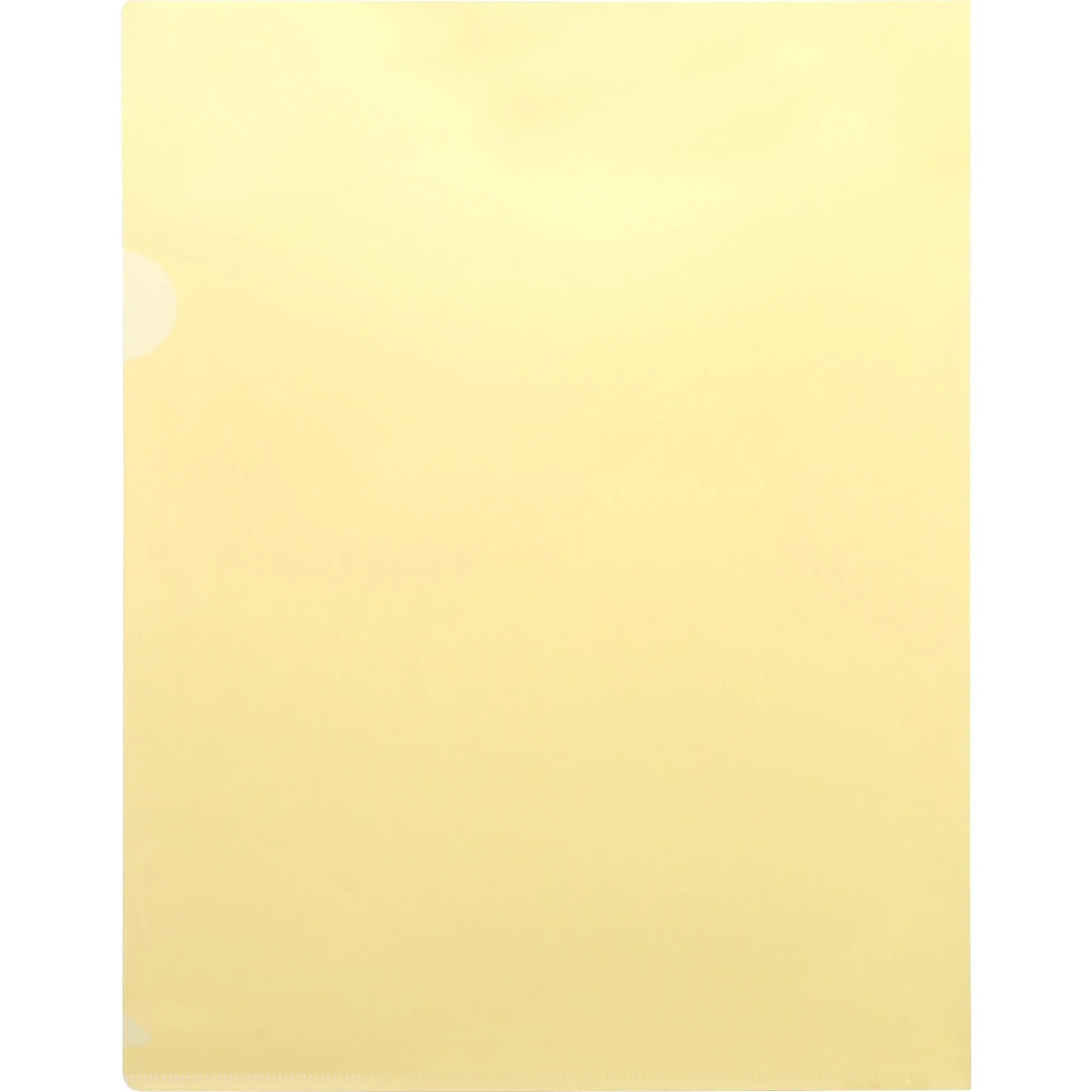 Business Source Transparent Poly File Holders