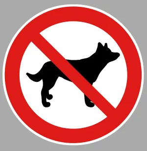 CHIENS INTERDITS CAM231