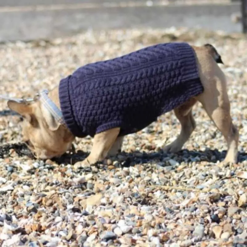 Chunky Knit Blue Dog Jumper