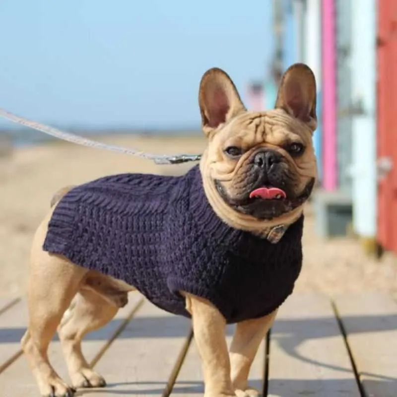 Chunky Knit Blue Dog Jumper