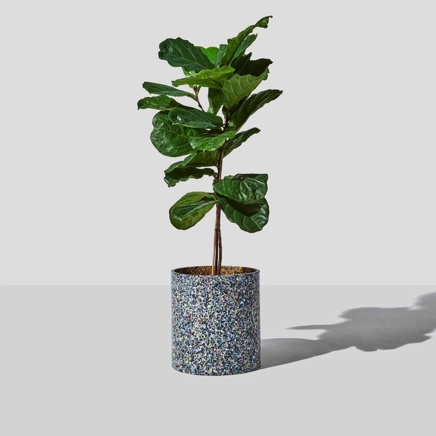 Confetti Planter - 465D x 440H