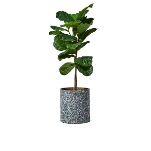 Confetti Planter - 465D x 440H