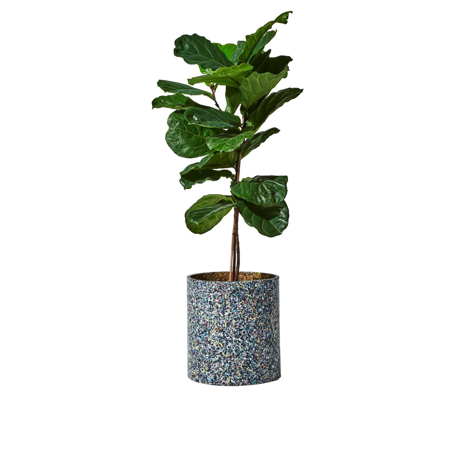 Confetti Planter - 465D x 440H