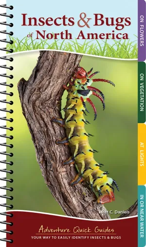 Insects & Bugs of North America