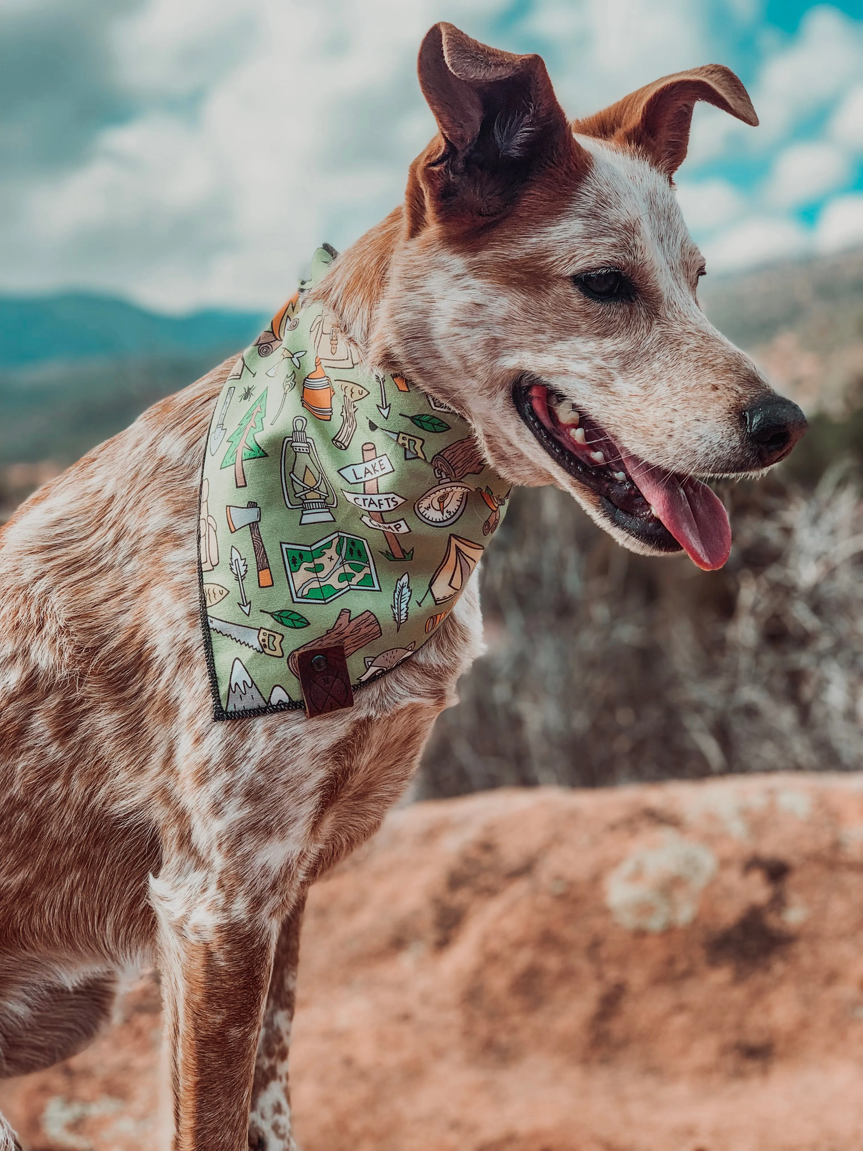 KAMP - Adjustable Dog Bandana