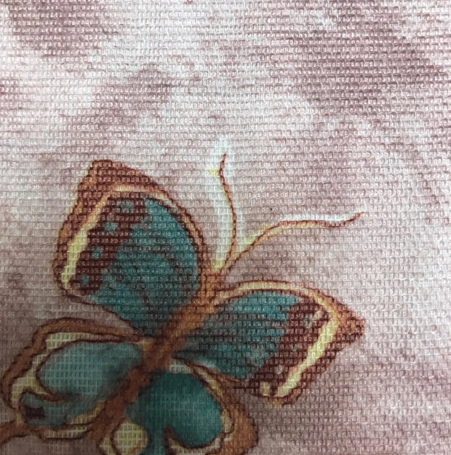 LEGGINGS MICROFIBER BUNNY/BUTTERFLIES