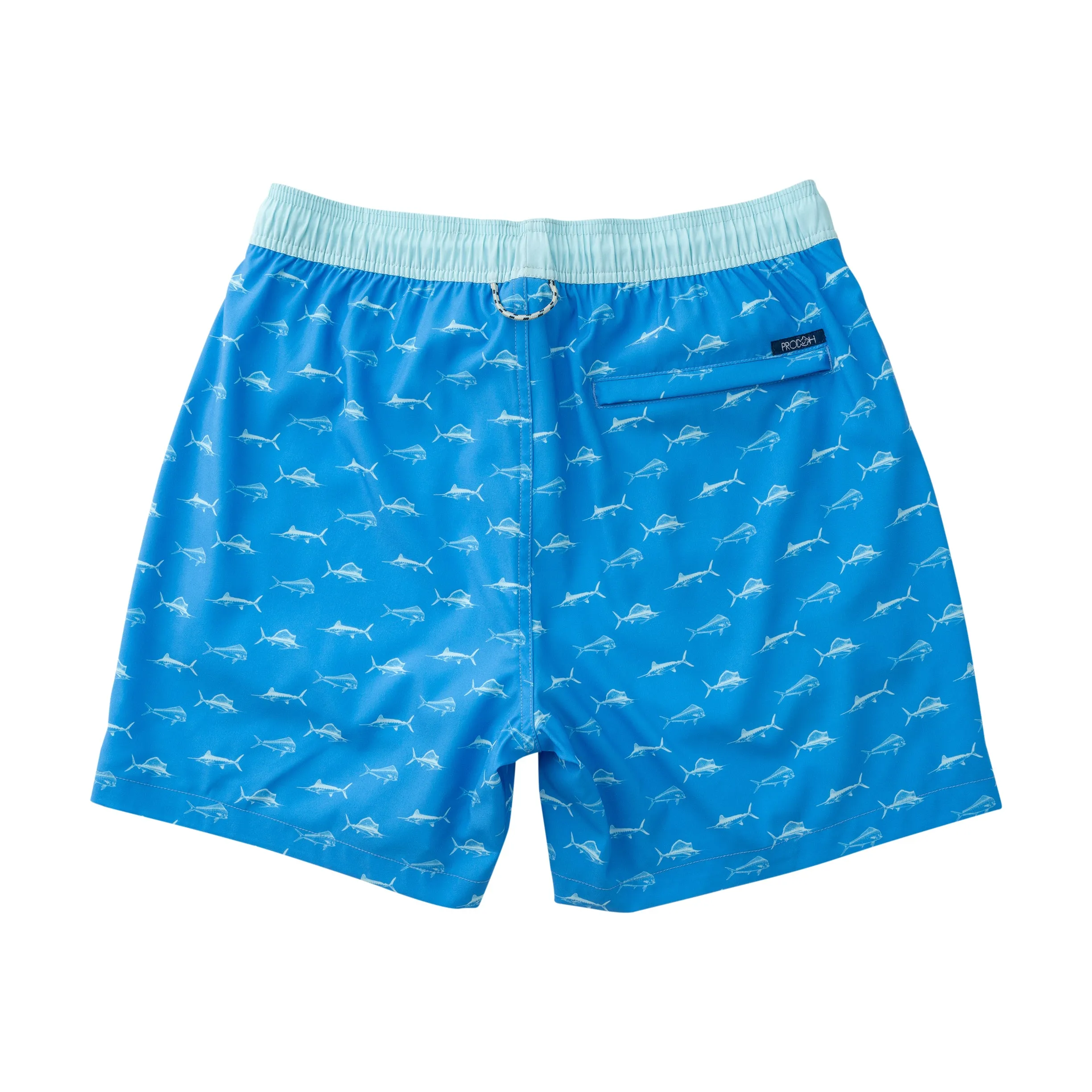Mens Boogie Board Swim Trunk in Fish Print on Marina Blue
