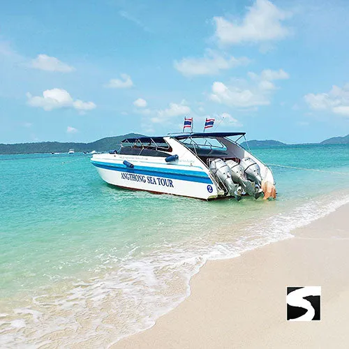 *Pig Island Snorkeling Koh Mudsum & Koh Tan Speed Boat Economy Tour