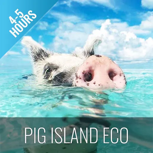 *Pig Island Snorkeling Koh Mudsum & Koh Tan Speed Boat Economy Tour