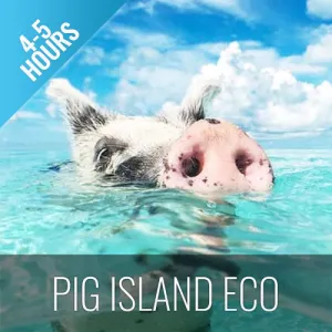 *Pig Island Snorkeling Koh Mudsum & Koh Tan Speed Boat Economy Tour
