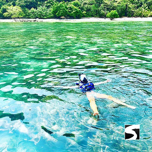 *Pig Island VIP Snorkeling Longtail Boat Koh Mudsum & Koh Tan