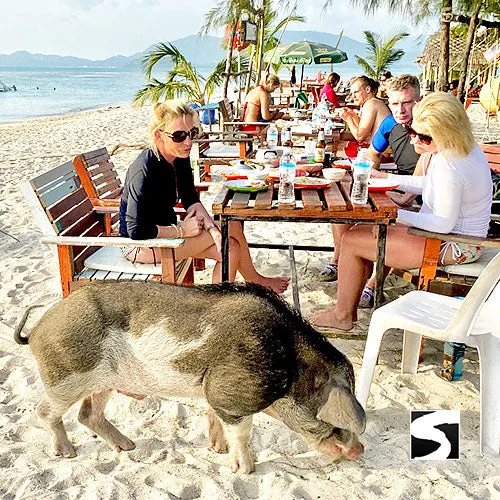 *Private snorkel excursion Koh Tan & Koh Mudsum (Pig Island)