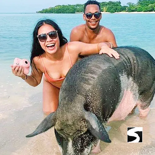 *Private snorkel excursion Koh Tan & Koh Mudsum (Pig Island)