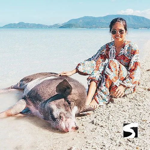 *Private snorkel excursion Koh Tan & Koh Mudsum (Pig Island)