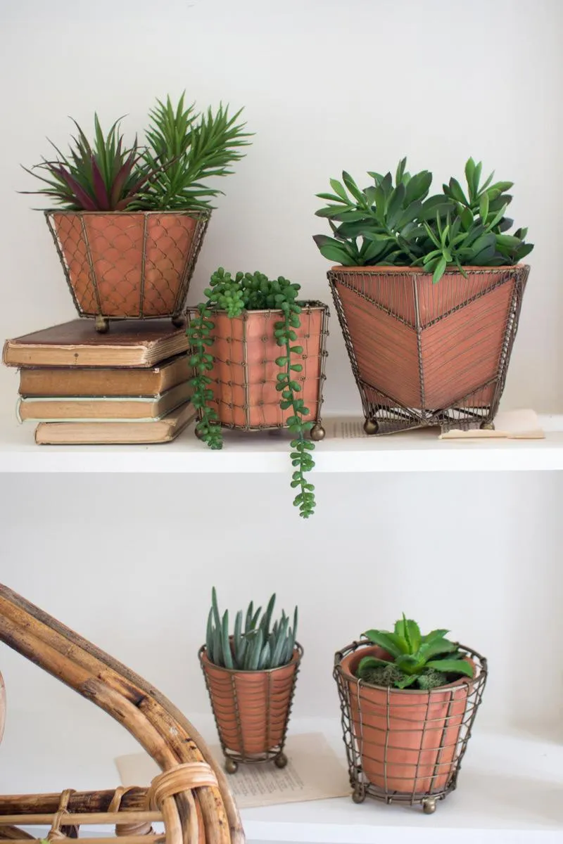 Set of 5 Terracotta Planters with Wire Wrap and Brass Detail