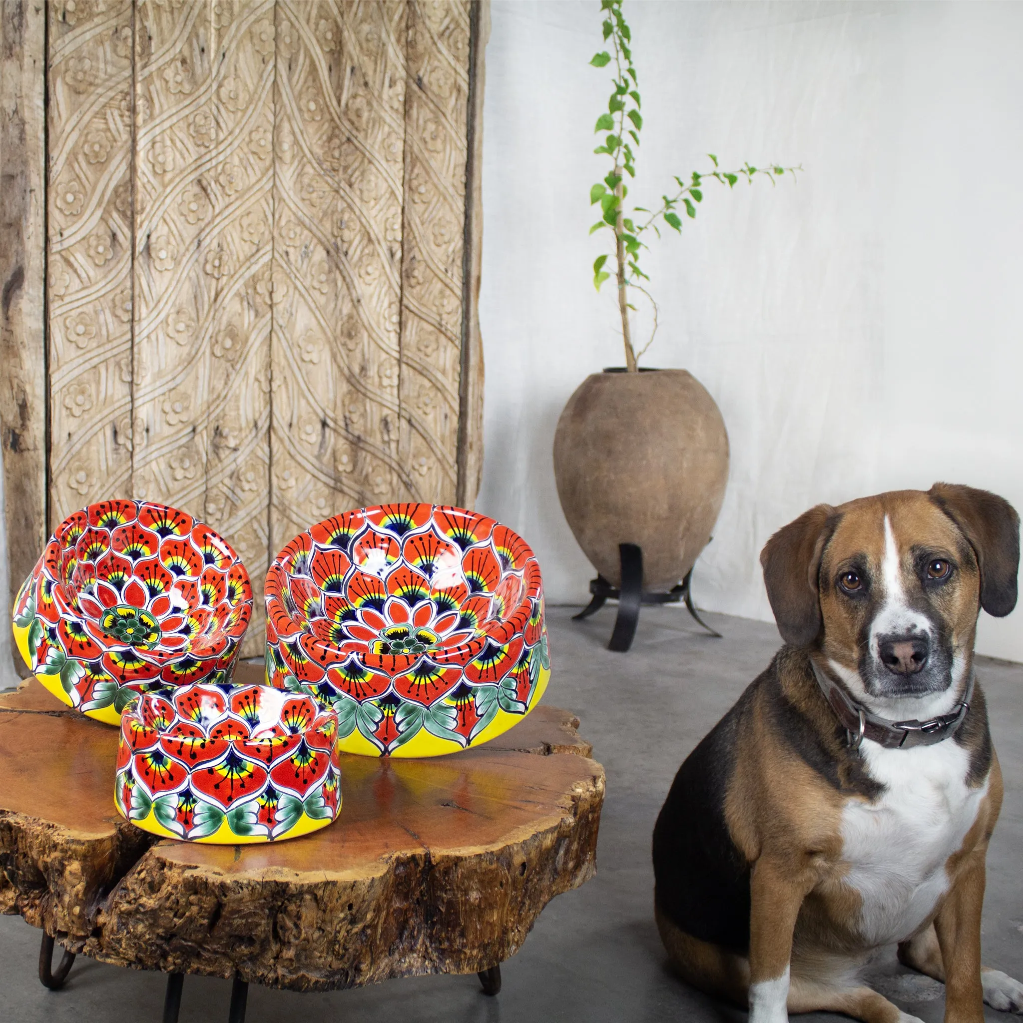 Talavera Pet Bowls | Pavo Pattern
