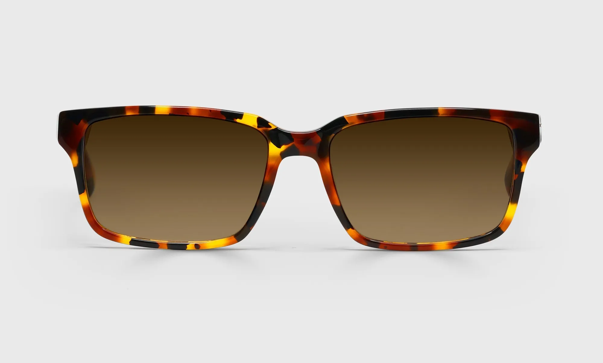 Wide Eyed (Formerly Hugh Jass) Sunglasses